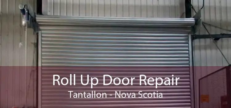 Roll Up Door Repair Tantallon - Nova Scotia