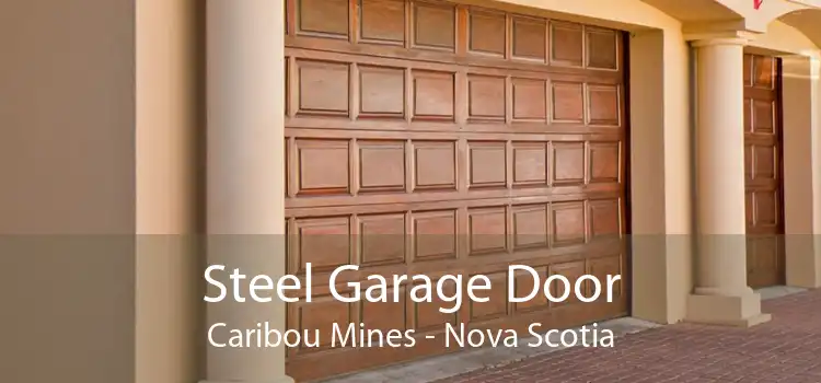 Steel Garage Door Caribou Mines - Nova Scotia